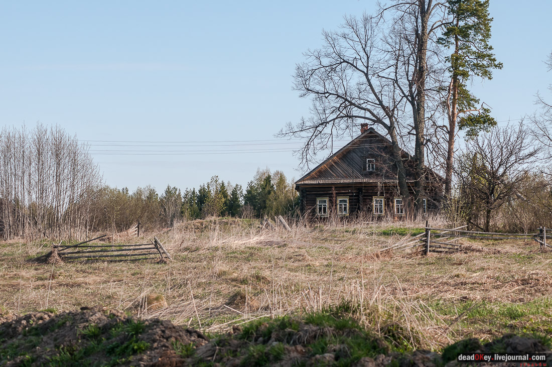 Терем Асташово (Осташево), Костромская область, Чухломский район