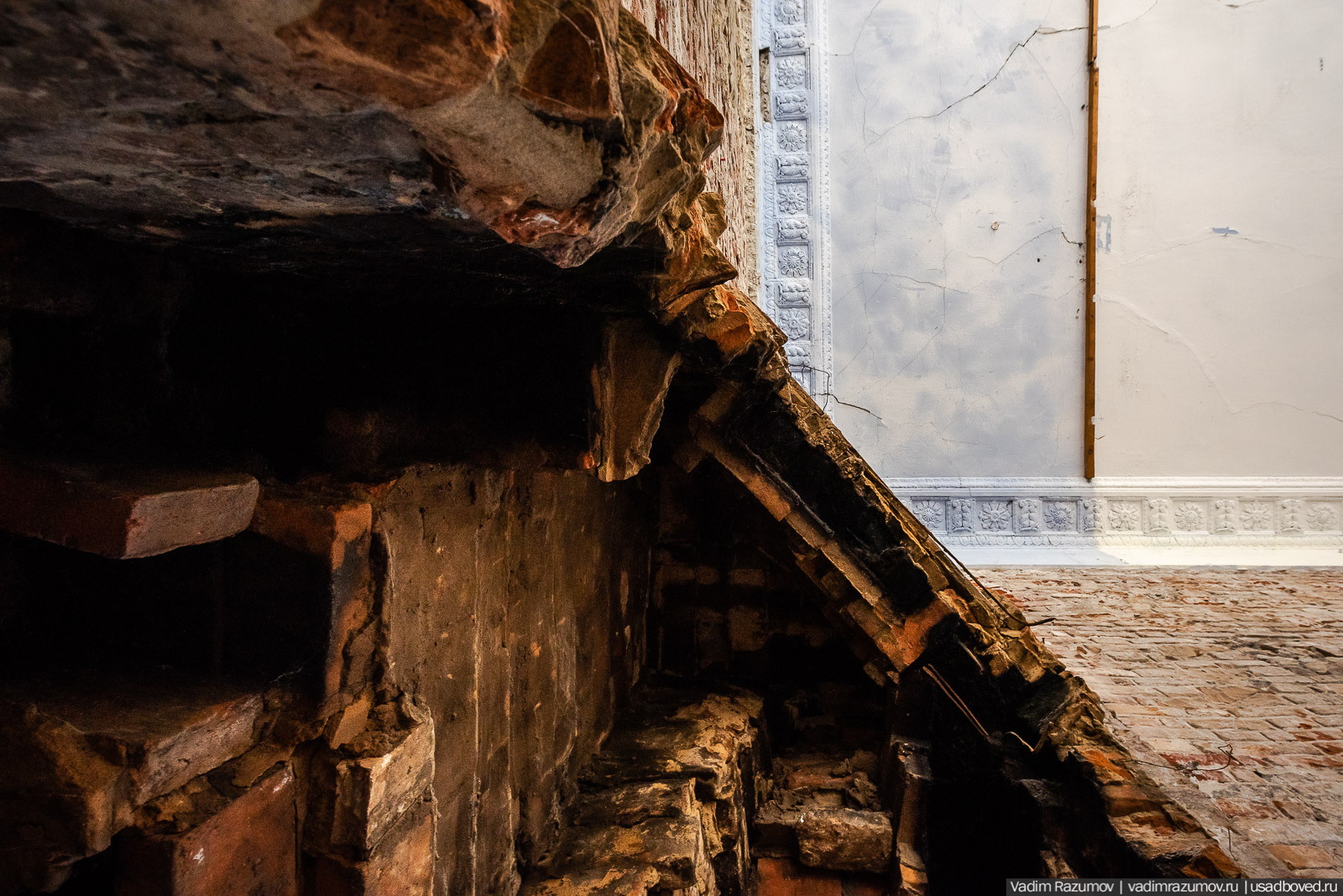 Пролески в усадьбе Репец, Задонский район, Липецкая область