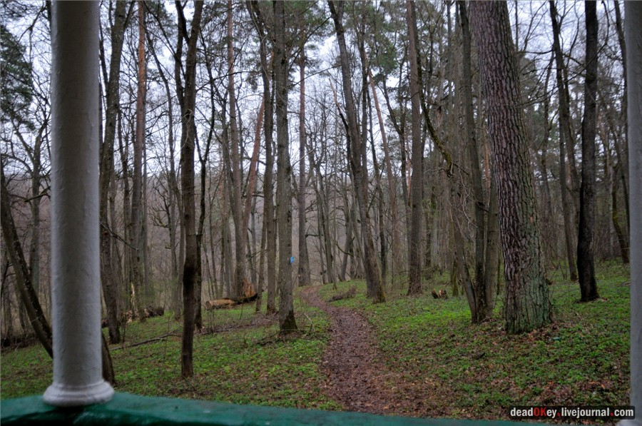 усадьба Полотняный Завод Гончаровых