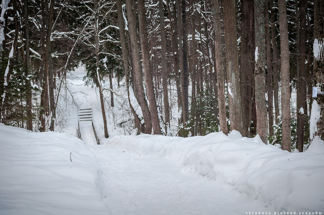 усадьба Абрамцево, зима 2017