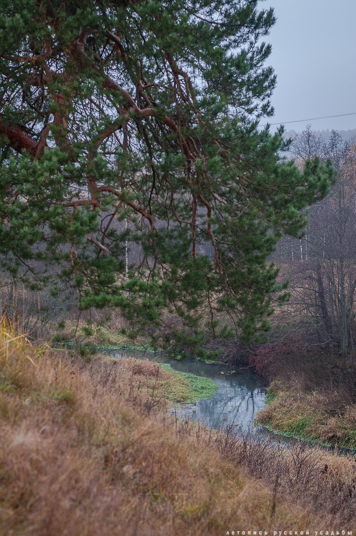 усадьба Могутово