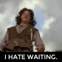 Inigo Montoya - I hate waiting