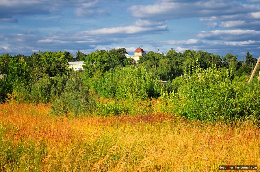 усадьба Смоленское