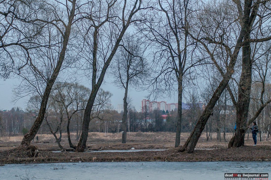 Лопасня-Зачатьевское