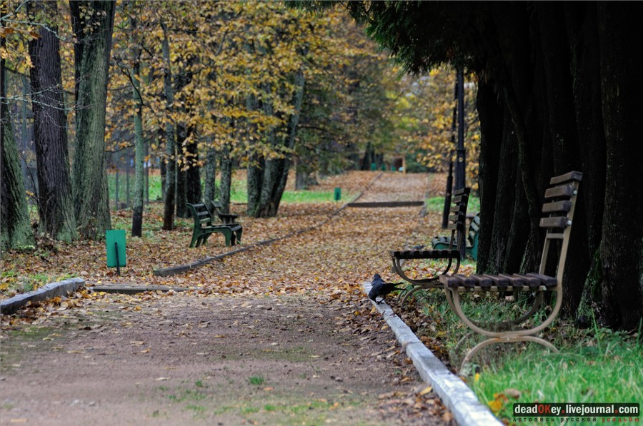 усадьба Марфино