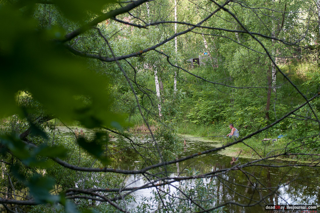 Усадьба Богородское-Кишкино