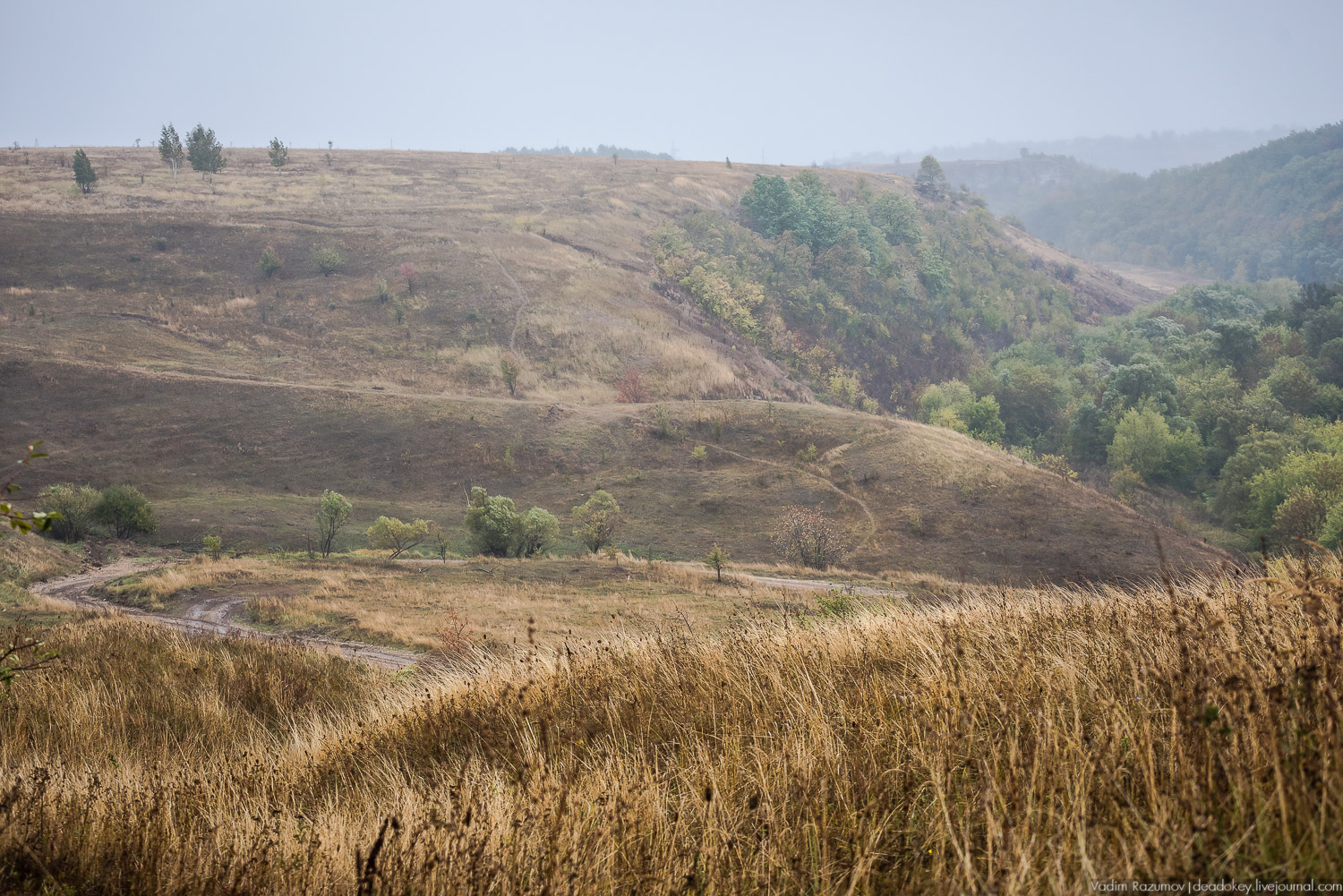 Липецкая область, усадьбы, инвестблогтур 