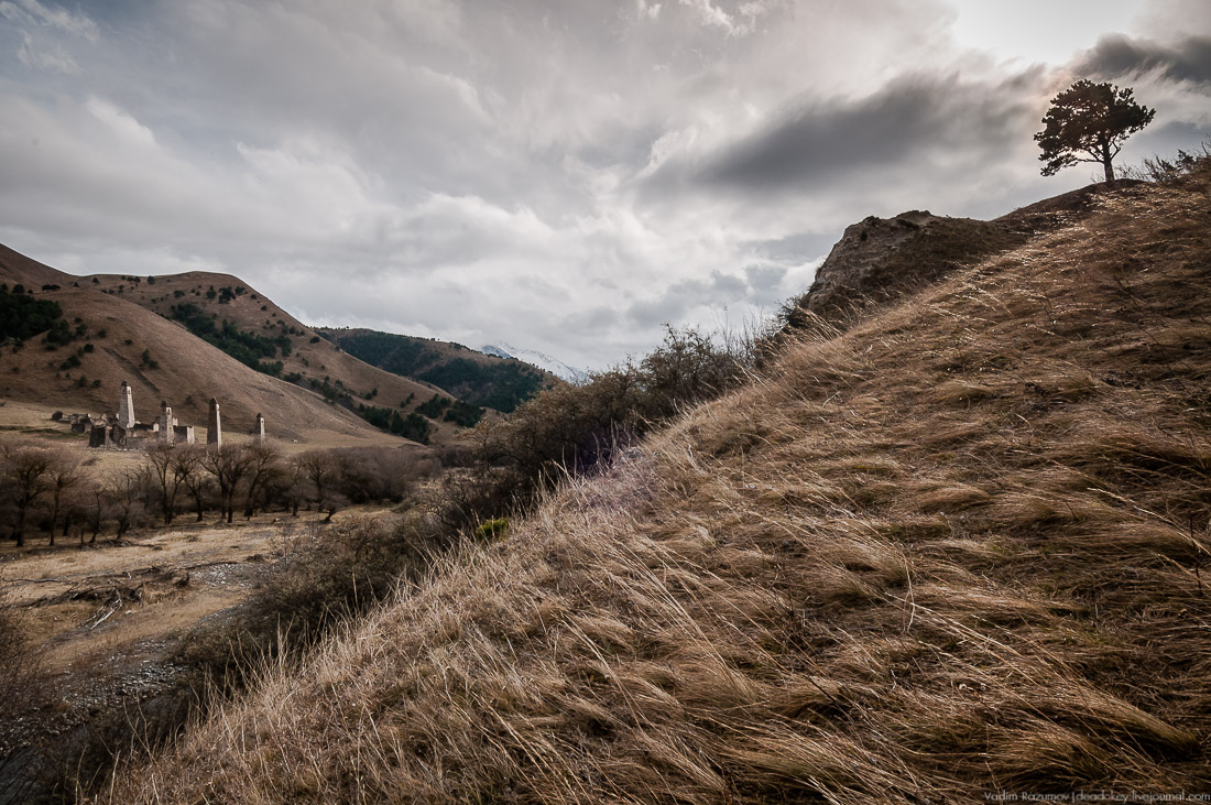 Башенный комплекс Таргим, Ингушетия, Джейрахский район.