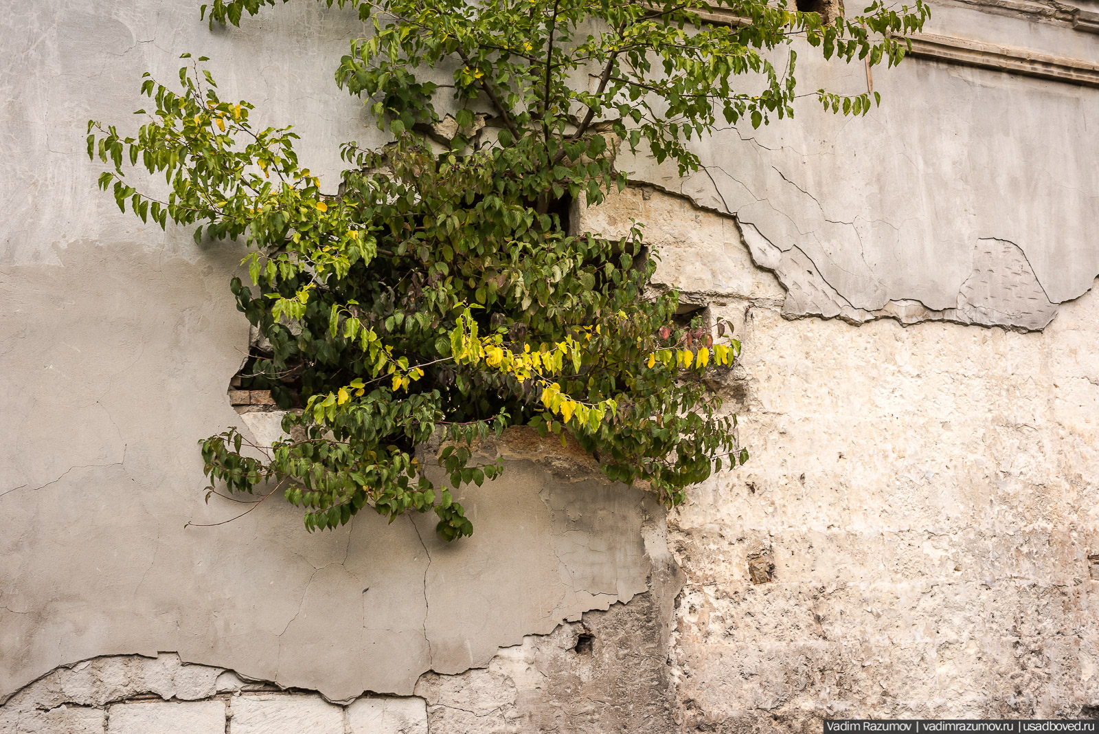 Усадьба Монжене (Замок Монжене или усадьба Кесслера) в селе Пионерское Симферопольского района, Крым