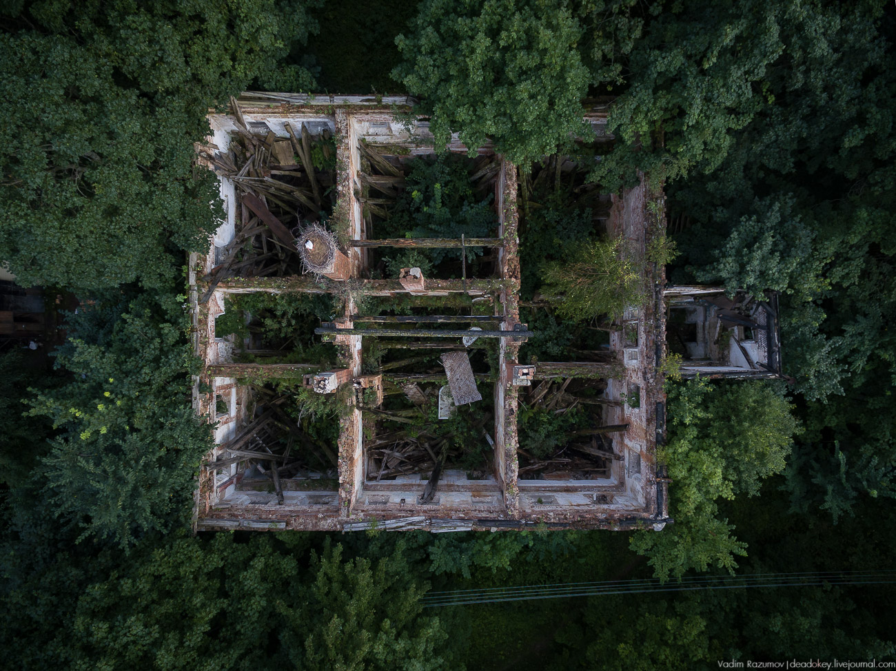 Вадим Разумов. Фотографии с дрона, лето 2017