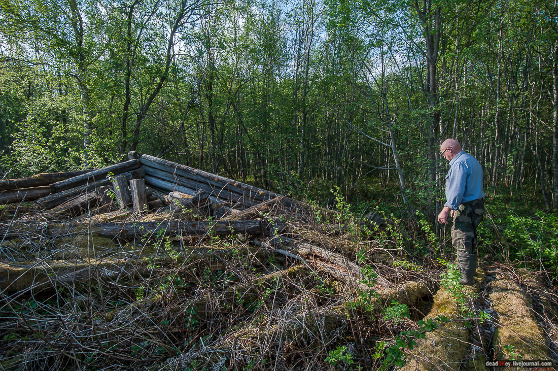 заброшенная деревня Сяпчозеро, Карелия, Кондопожский район