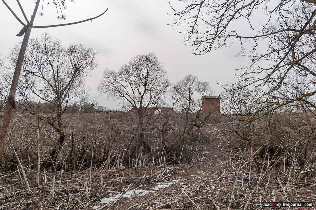 Усадьба Белая Колпь