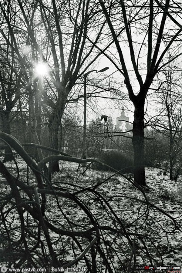 усадьба Строганова Дача