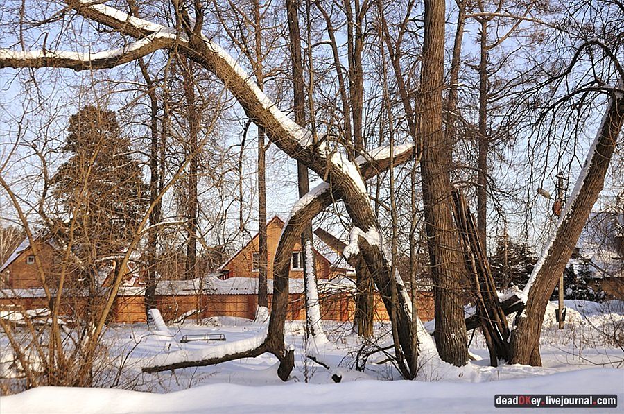 усадьба Осеченки