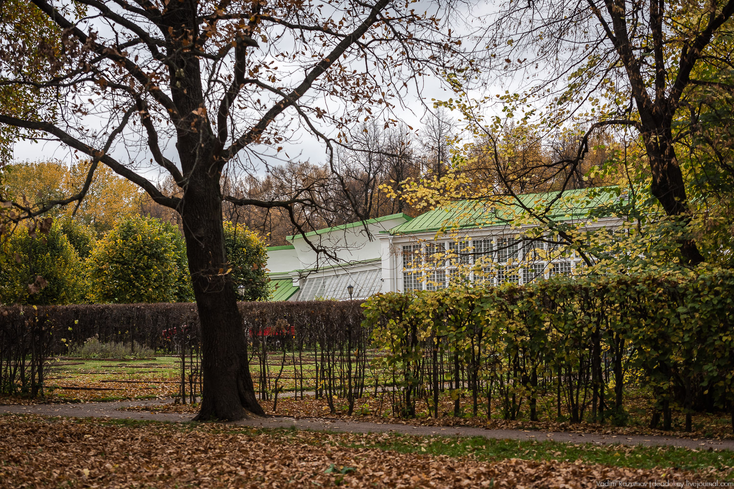 усадьба Кусково, осень 2018 года