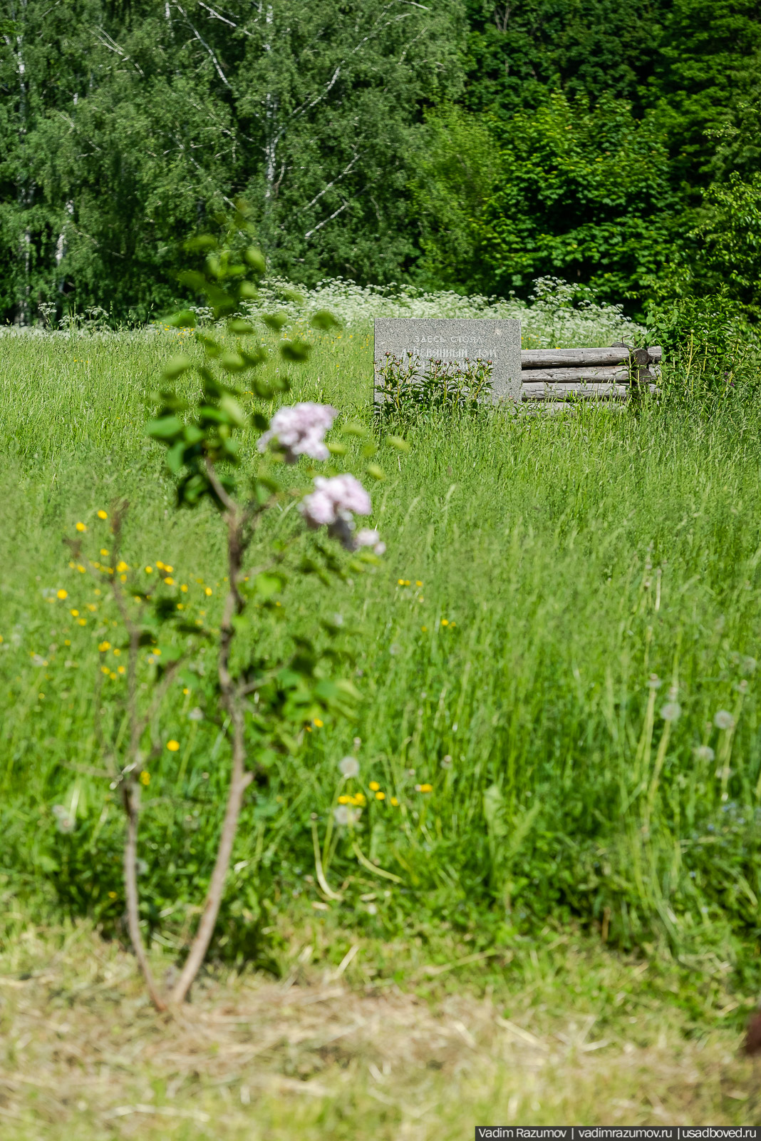 Богородицк, Тульская область