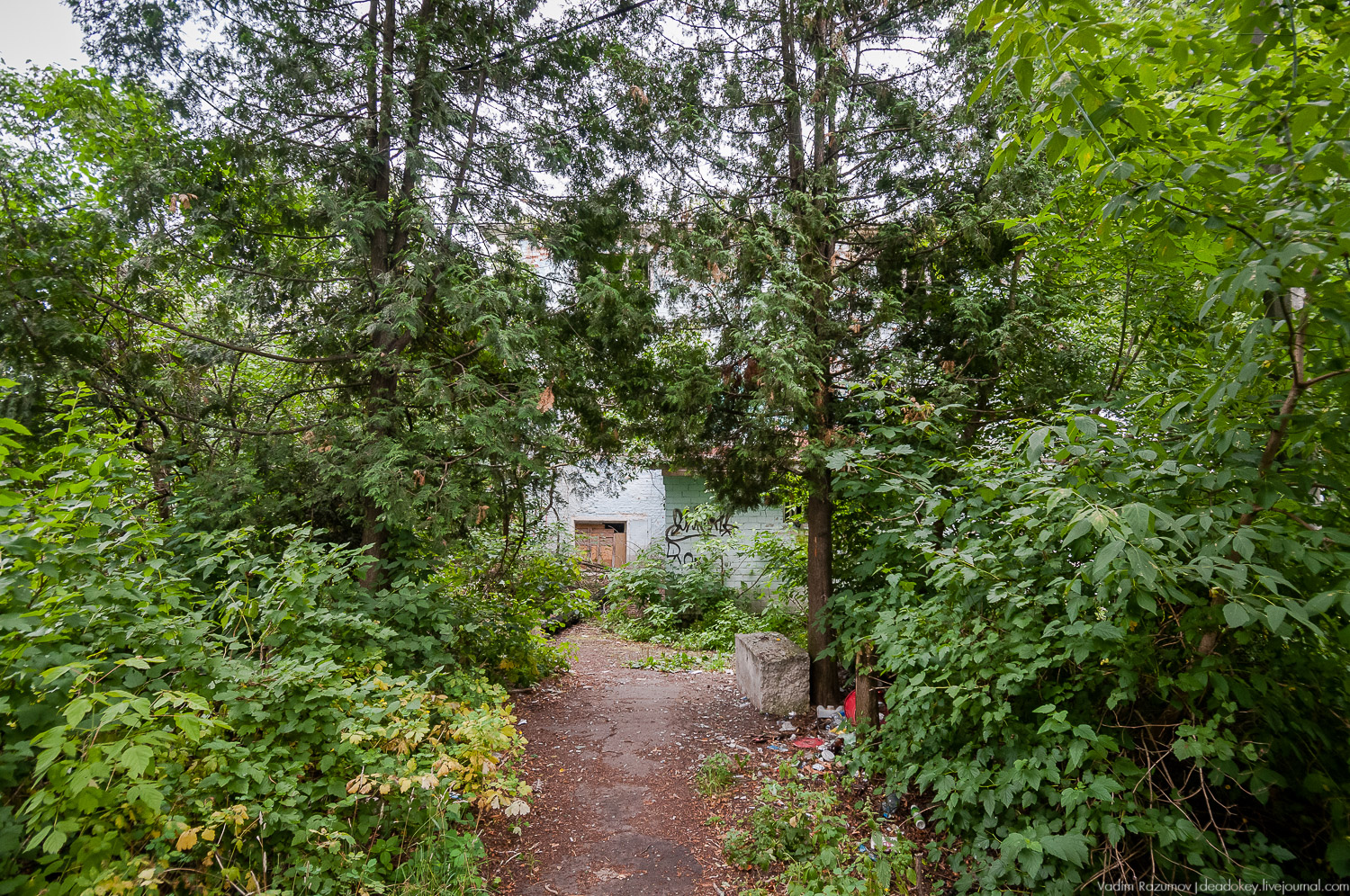 усадьба Лапино-Спасское, г. Королев, Усадебные волонтеры