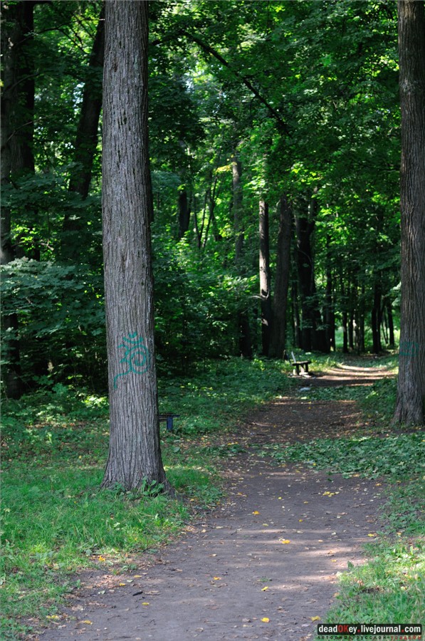 усадьба Лукино-Варино