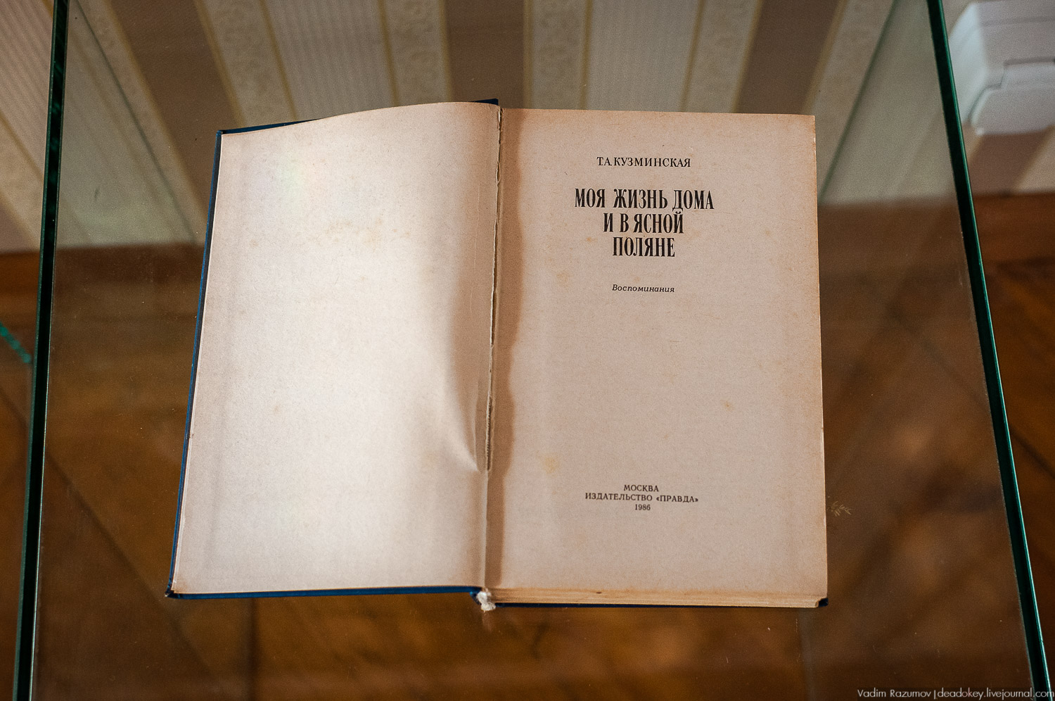 усадьба Никольское-Вяземское, Тульская область