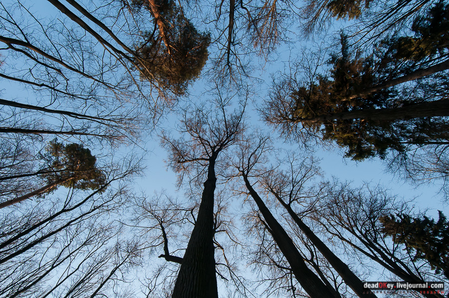 усадьба Виноградово