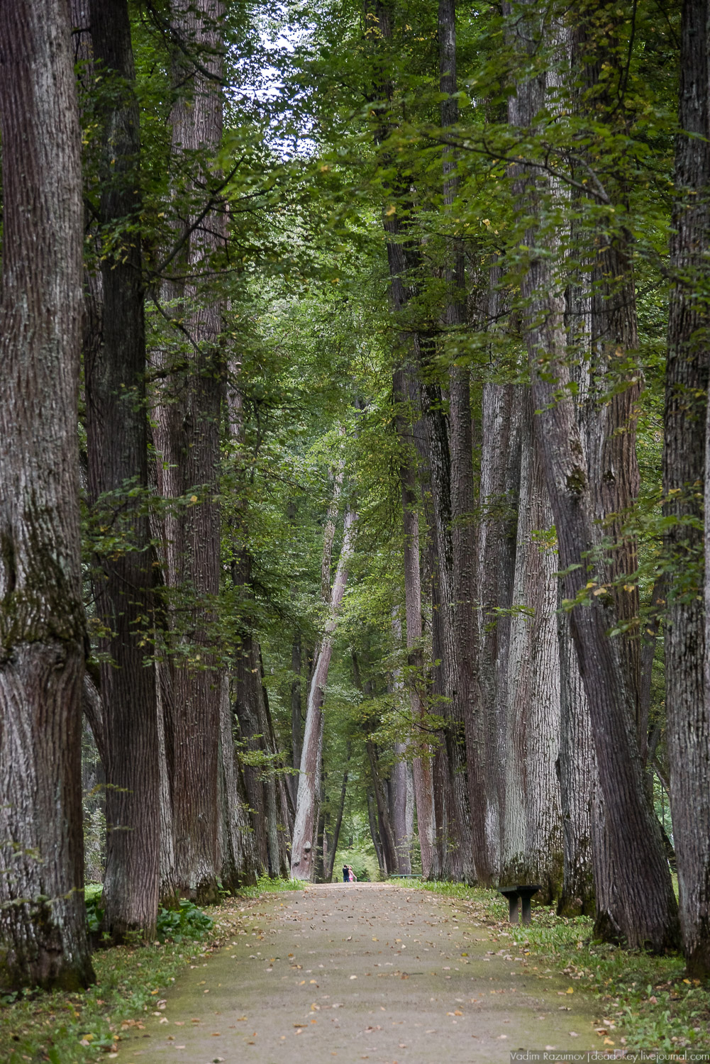 усадьба Спасское-Лутовиново И.С. Тургенева, юбилей Тургенева 200 лет, Орловская область