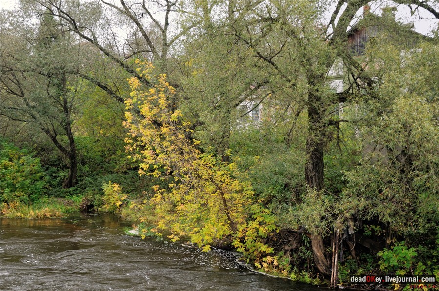 усадьба Лучки