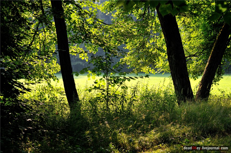 усадьба Долгое Ледово