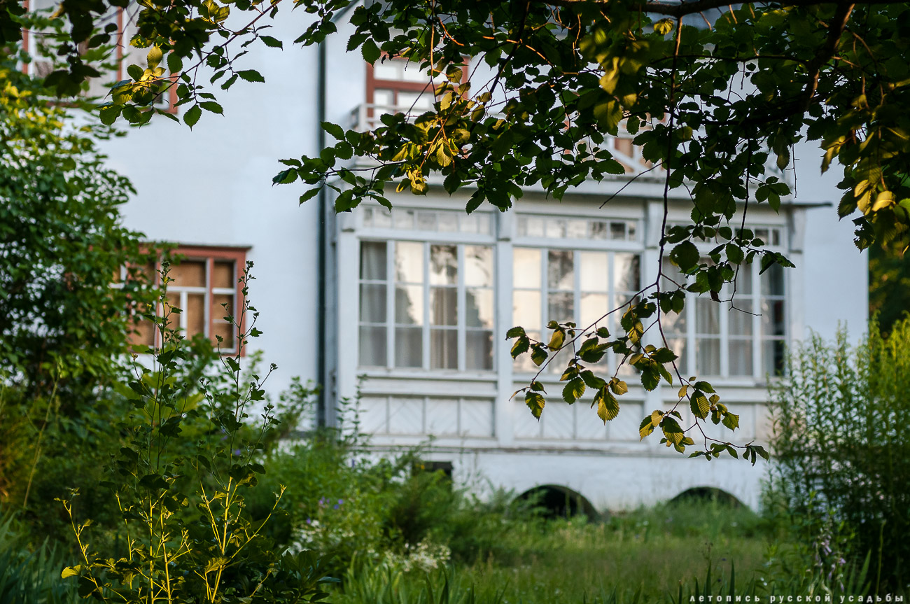 Усадебный экспресс. Дворяниново и Поленово.