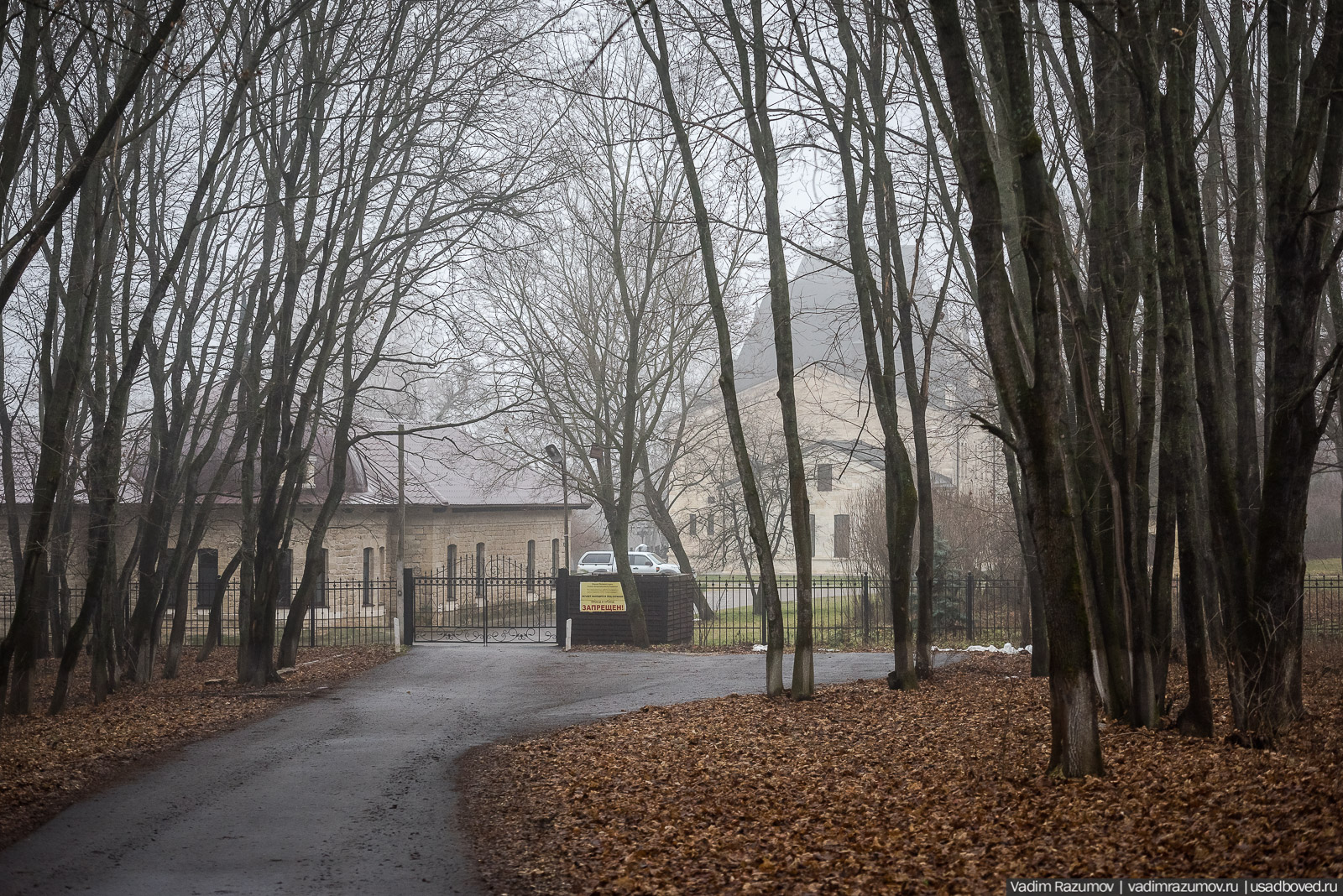 усадьба Борки, Липецкая область
