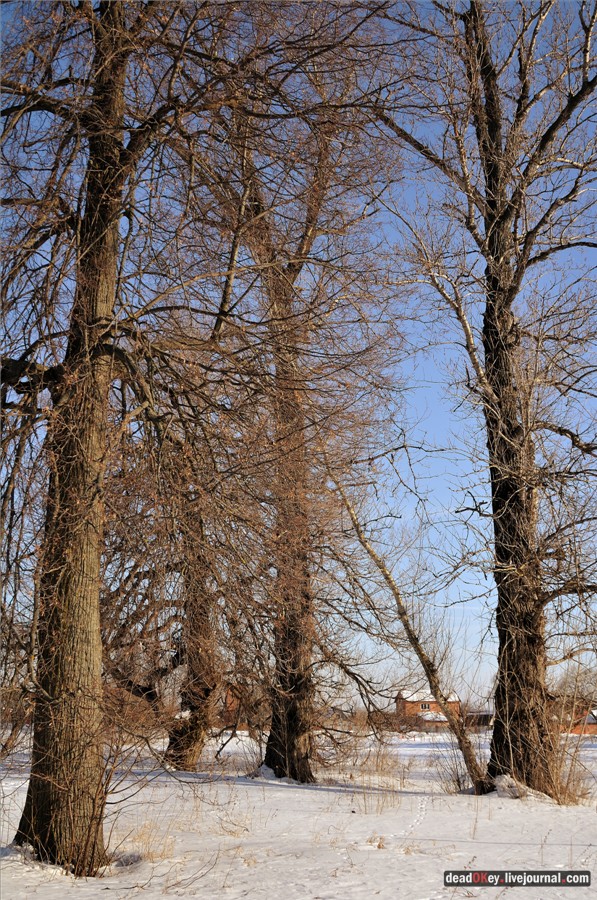 усадьба Федино