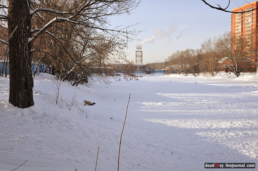 усадьба Коренево