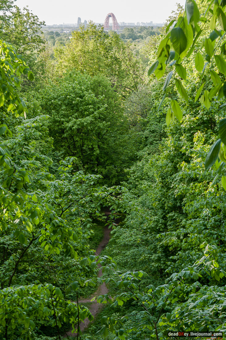 усадьба Кунцево