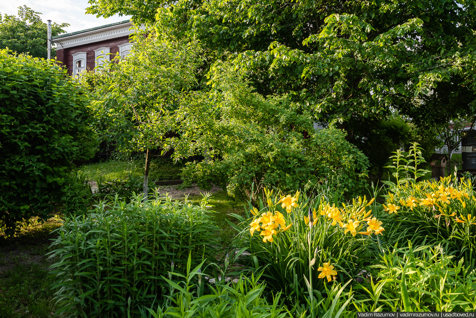 усадьба фабриканта Думнова, Владимирская область, Заречье