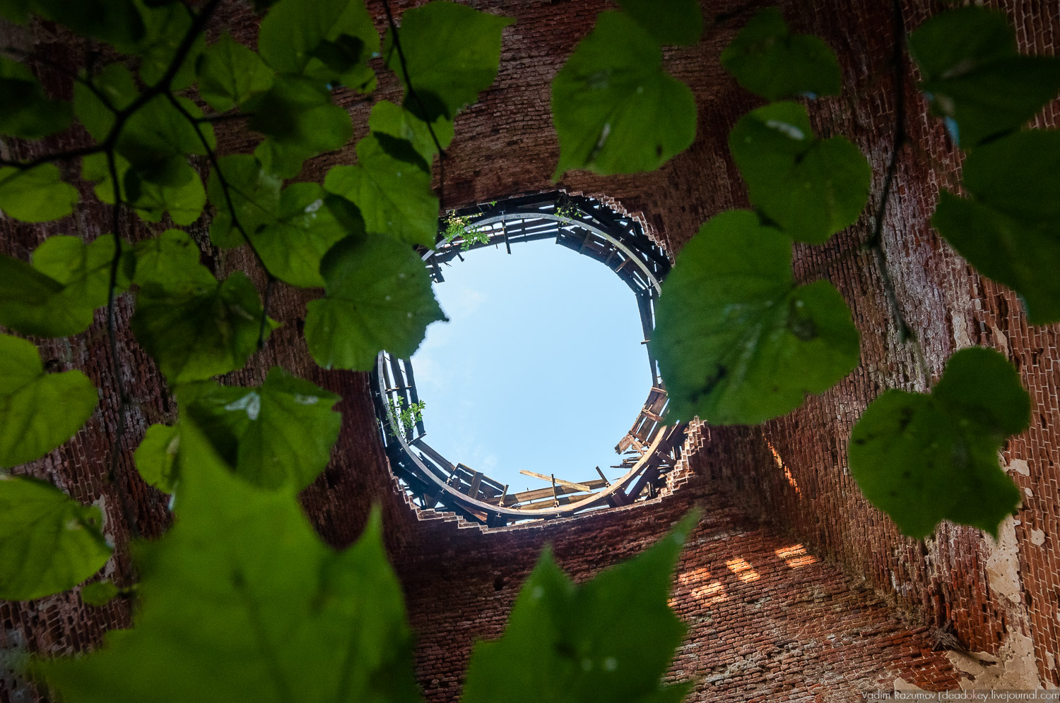 усадьба Никольское-Вяземское, Тульская область