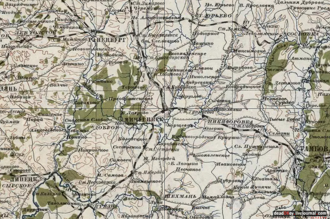 Усадьба Голицыных, г. Мичуринк