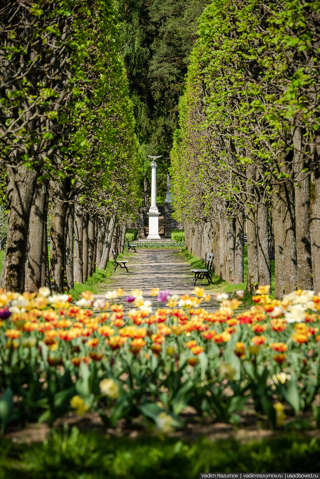 усадьба Архангельское, весна, май 2021