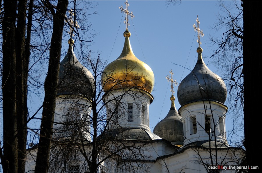 усадьба Узкое