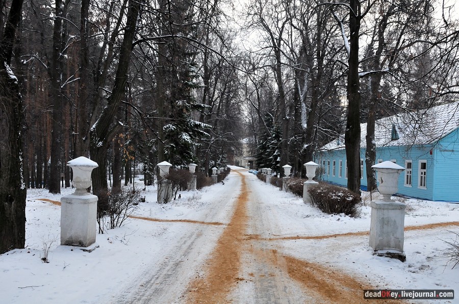 усадьба Быково