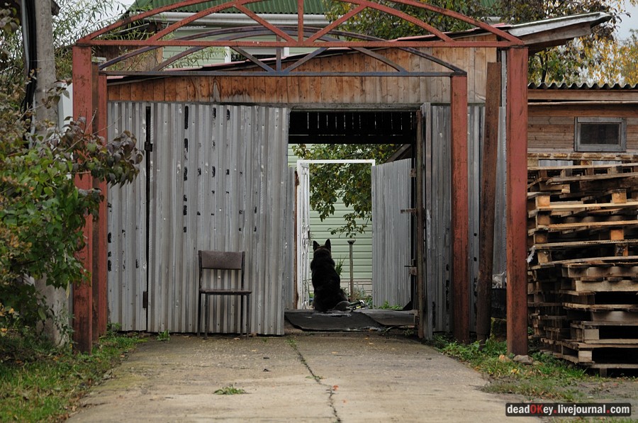 усадьба Жуково