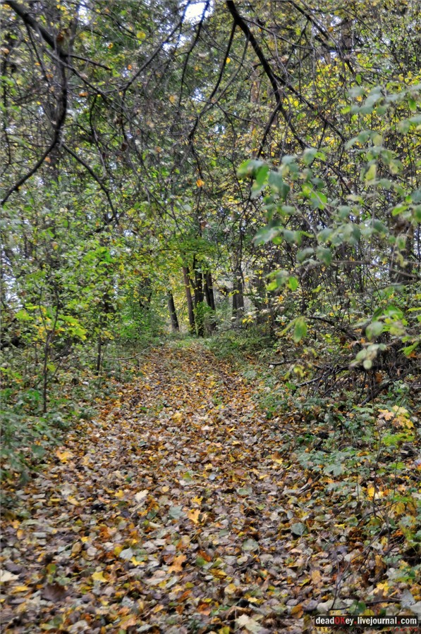 усадьба Федоровское