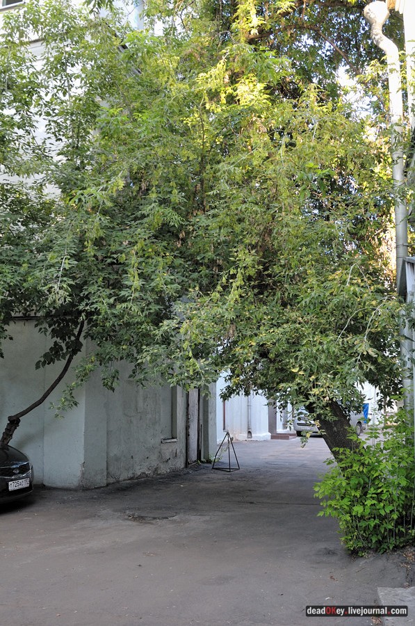 усадьба Левашовых