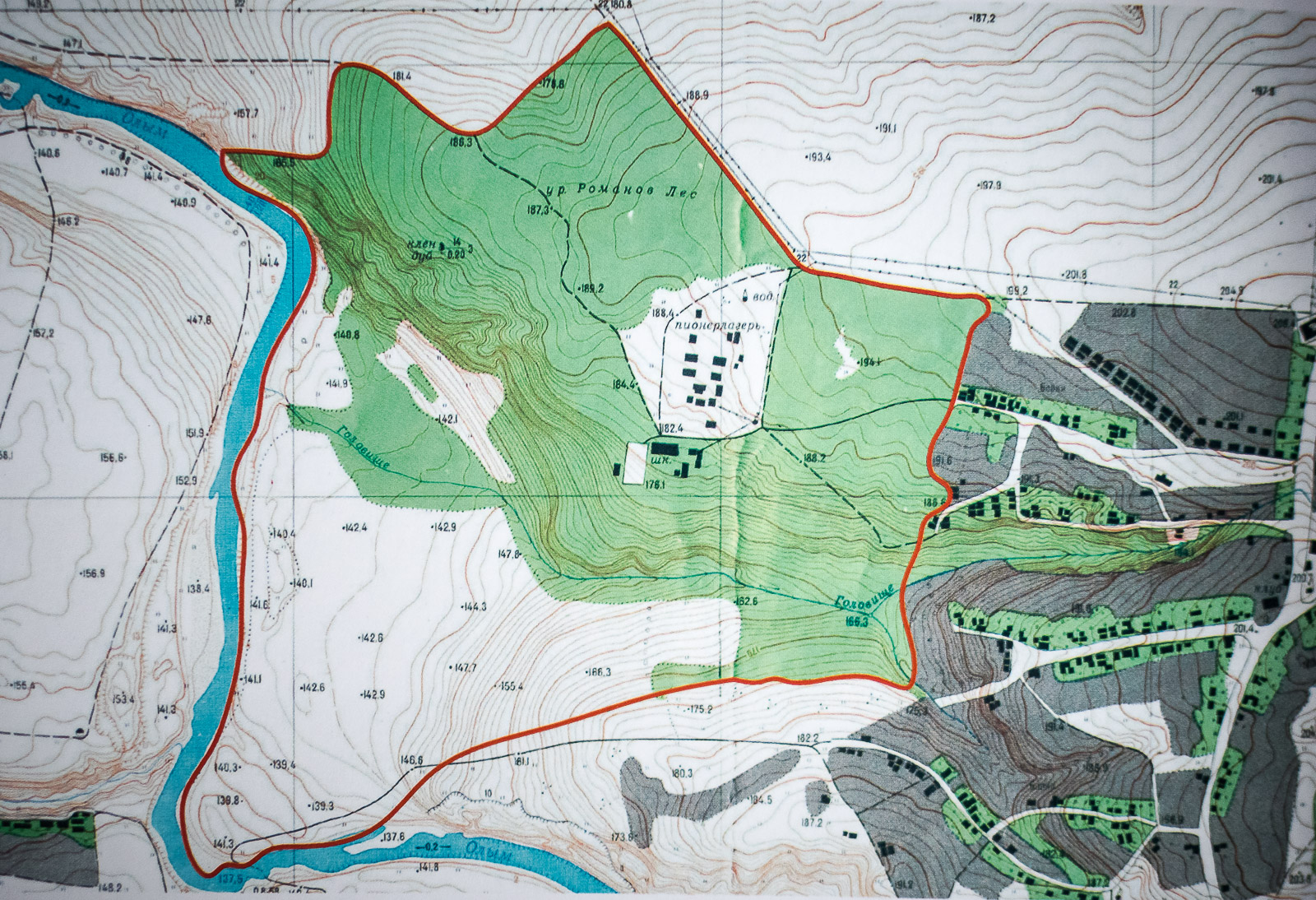 усадьба Борки, Липецкая область