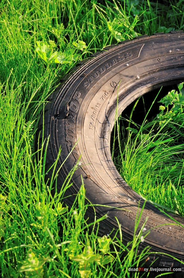 усадьба Прохорово