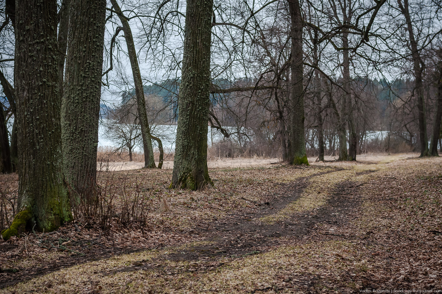 усадьба Осташево, Волоколамский район