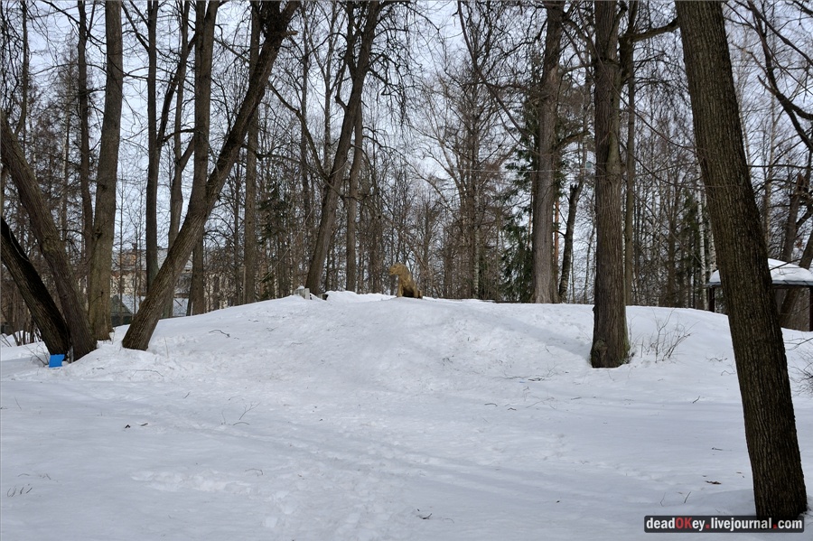 усадьба Райки