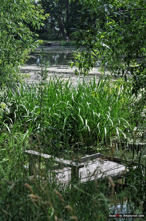 усадьба Подолец