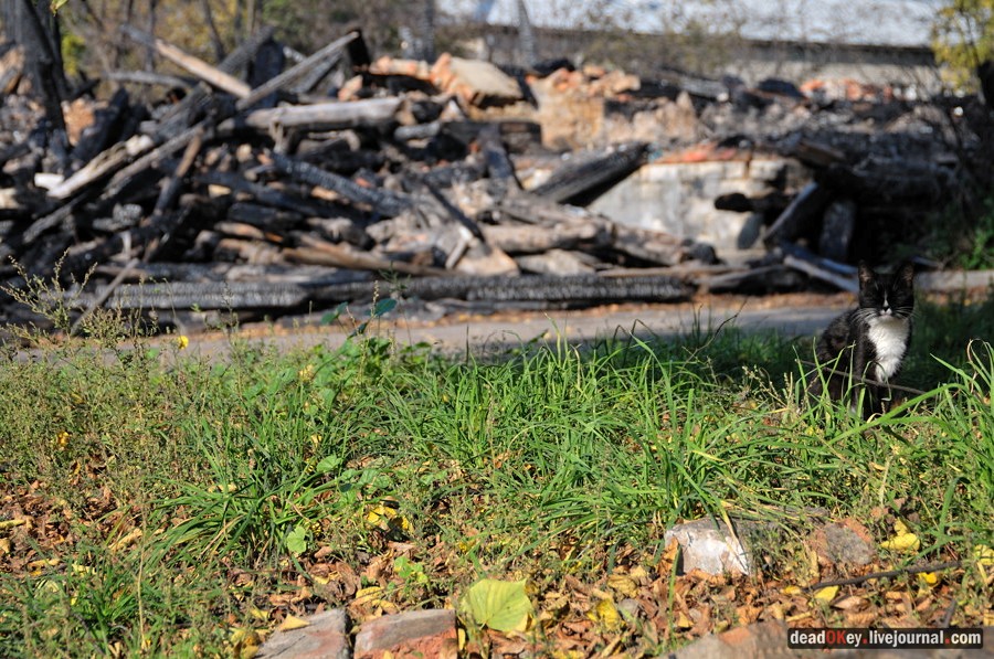 усадьба Красково