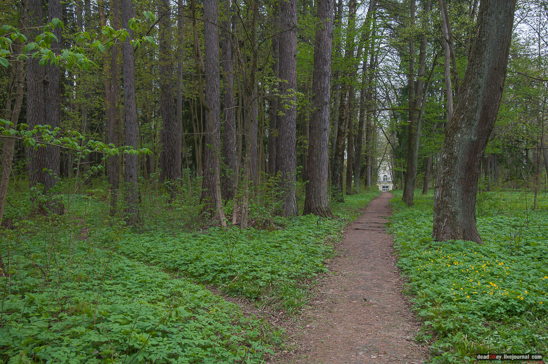 усадьба Михайловское