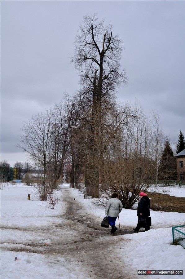 Бабушки в русских усадьбах
