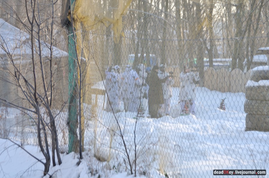 усадьба Люберцы